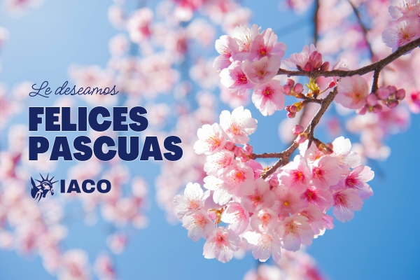 IACO Immigration Header Image